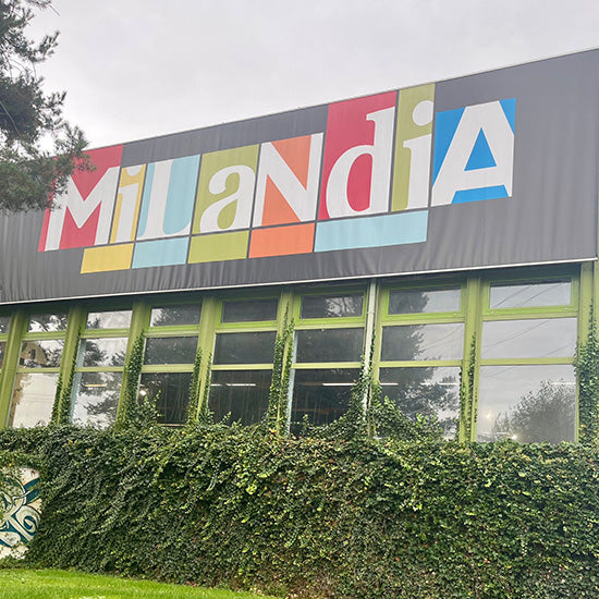 in schulen, kitas, feriencamps